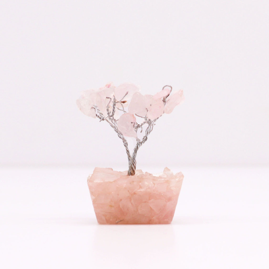 Mini árbol de piedras preciosas sobre base de orgonita - Cuarzo rosa (15 piedras)